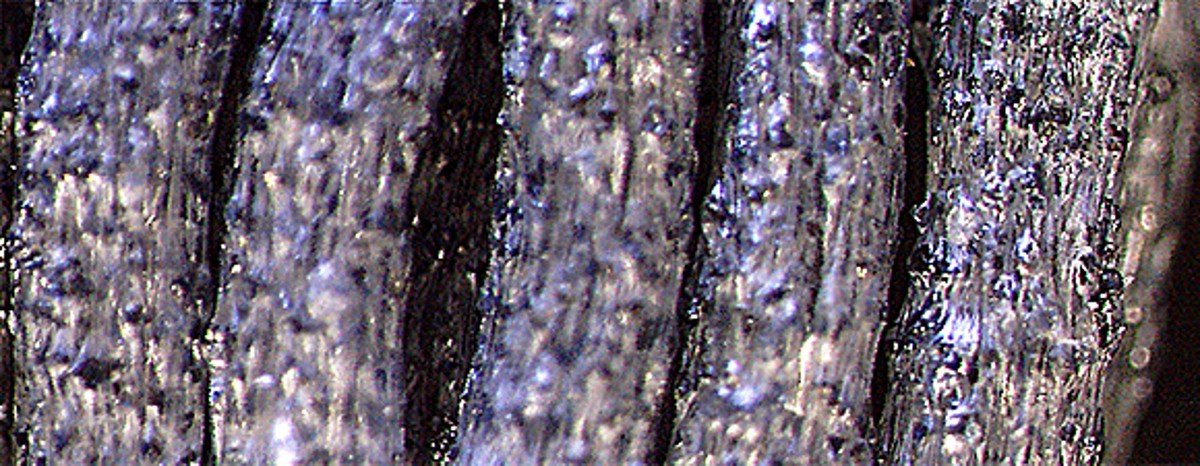 The thoughtful design of ATORN disc brushes.